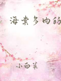 海棠多肉的文笔