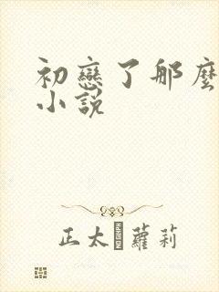 初恋了那么多年小说