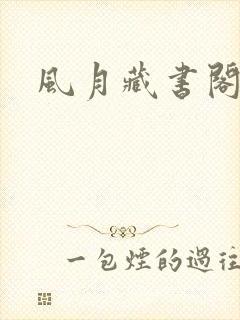 风月藏书阁
