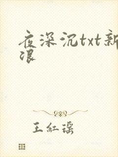 夜深沉txt新浪