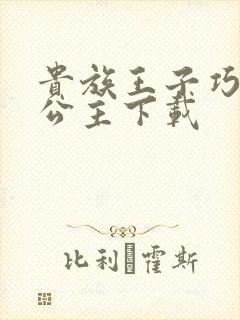 贵族王子巧遇穷公主下载