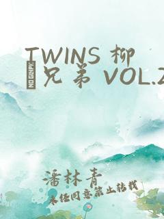 TWINS 柳澤兄弟 VOL.2