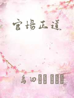 官场正道