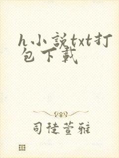 h小说txt打包下载