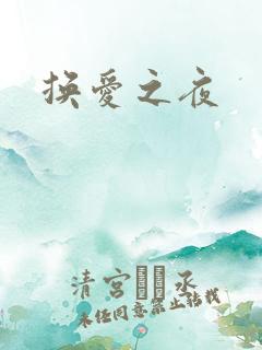 换爱之夜