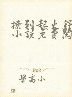 撩到起火舒漾的小说免费阅读全文