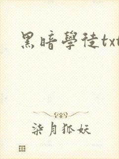 黑暗学徒txt
