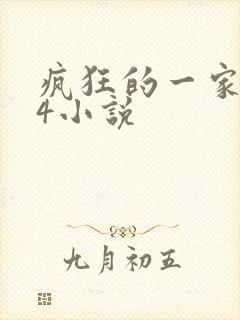 疯狂的一家ps4小说