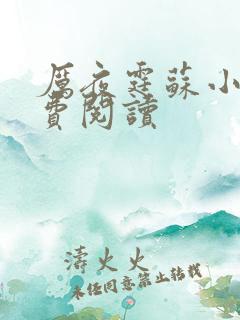 厉夜霆苏小汐免费阅读