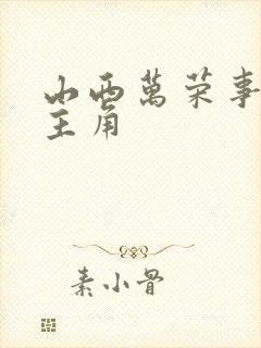 山西万荣事件女主角