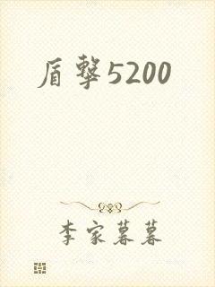 盾击5200