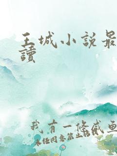 王城小说最近阅读