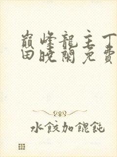 巅峰龙主丁长顺田晓兰免费阅读