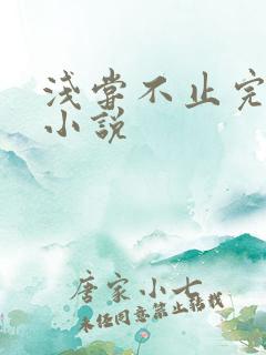 浅尝不止完整版小说