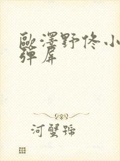 欧泽野佟小曼无弹屏