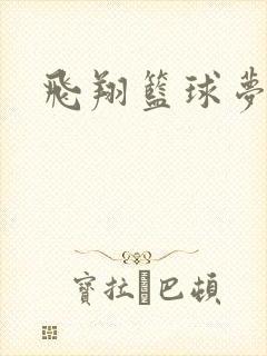 飞翔篮球梦下载