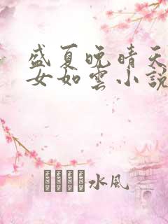 盛夏晚晴天之美女如云小说