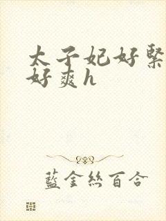 太子妃好紧皇上好爽h