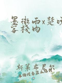 墨微雨x楚晚宁客栈肉