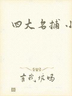 四大名捕 小说
