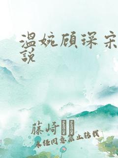 温婉顾琛宋芝小说