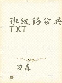 班级的公共玩具TXT