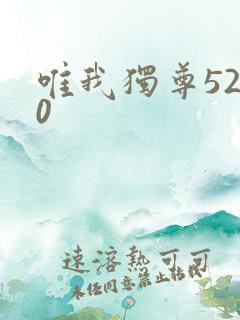 唯我独尊5200