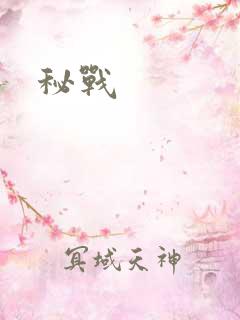 秘战