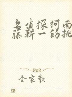 名侦探柯南给工藤新一的挑战书