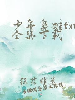 少年枭雄txt全集下载