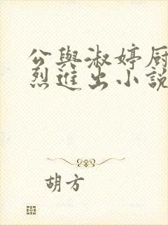 公与淑婷厨房猛烈进出小说