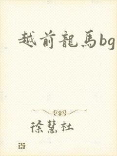 越前龙马bg
