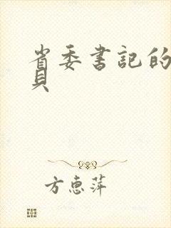 省委书记的小宝贝