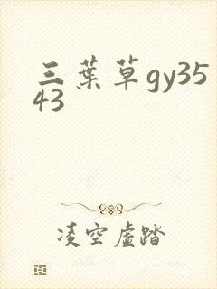三叶草gy3543