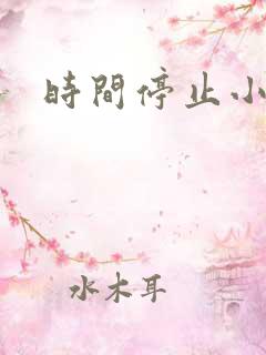 时间停止小说
