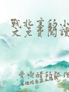 战北寒的小说全文免费阅读无弹窗