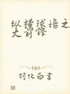 纵横球场之暴力大前锋