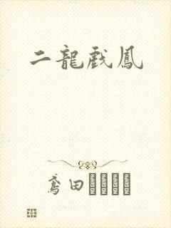 二龙戏凤