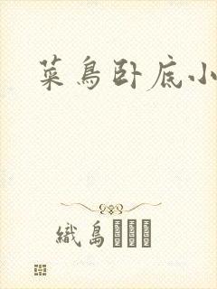 菜鸟卧底小正太