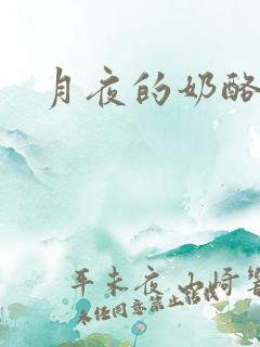 月夜的奶酪h