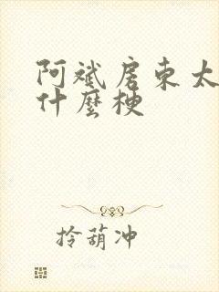 阿斌房东太太是什么梗