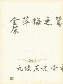 金萍梅之鸳鸯铣床