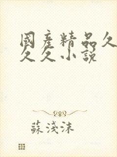 国产精品久久久久久小说