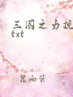 三国之力挽狂澜txt