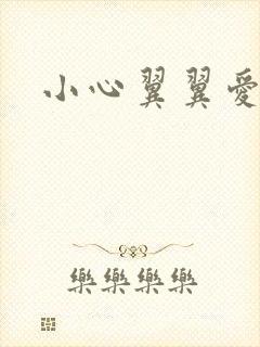 小心翼翼爱上你