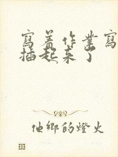 写着作业写着就插起来了