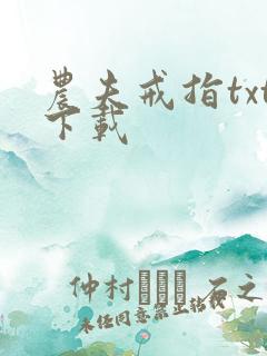 农夫戒指txt下载