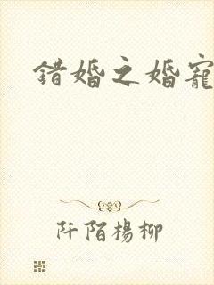 错婚之婚宠一世