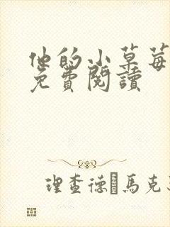 他的小草莓全文免费阅读