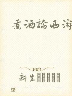 煮酒论西游